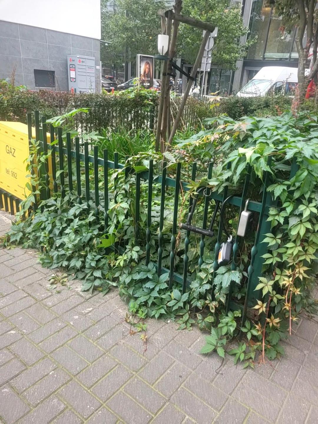 Apartament Centrum Chmielna *